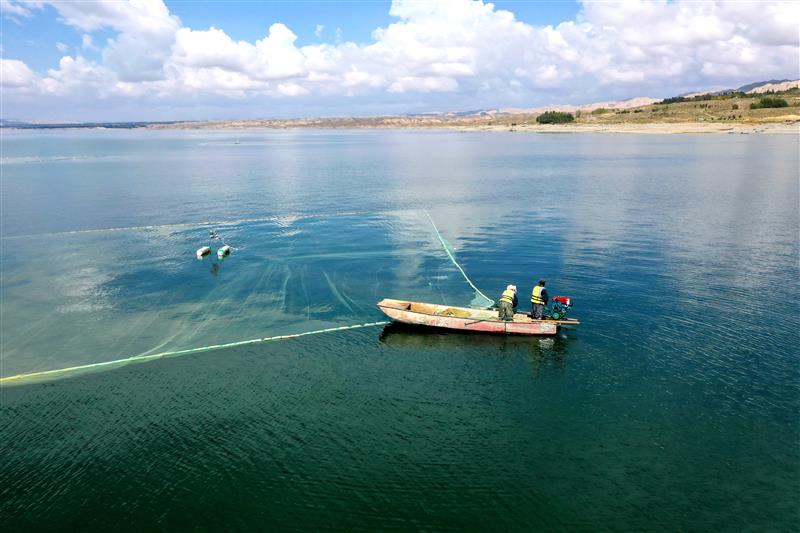 青海共和：渔业捕捞成创富增收“金饭碗