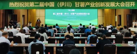 2022年第二届中国（伊川）甘薯产业创新发展大会举办