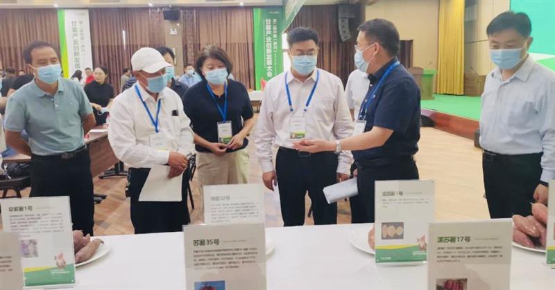 2022年第二届中国（伊川）甘薯产业创新发展大会举办