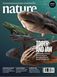 “从鱼到人”脊椎动物演化史关键点被找到