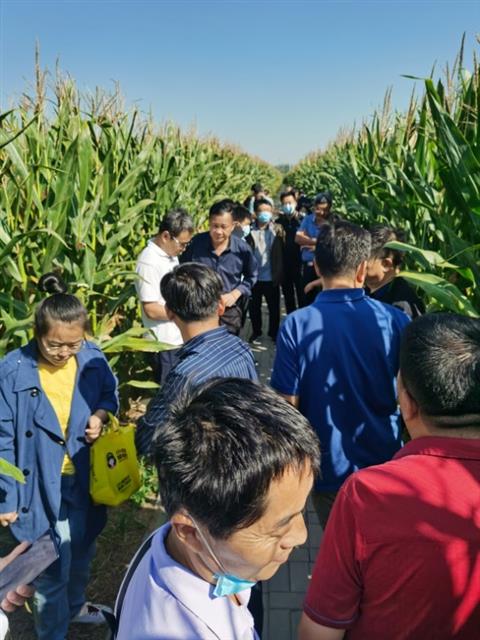 生物防治领域专业技术转移转化能力提升高级研修班在济南举办