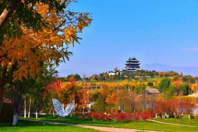 比往年提前十天！北京世园公园进入彩叶观赏季