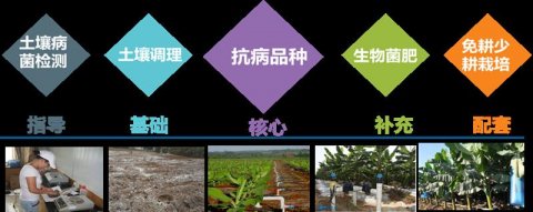 中国热科院喜获5项2019-2021年度全国农牧渔业丰收奖