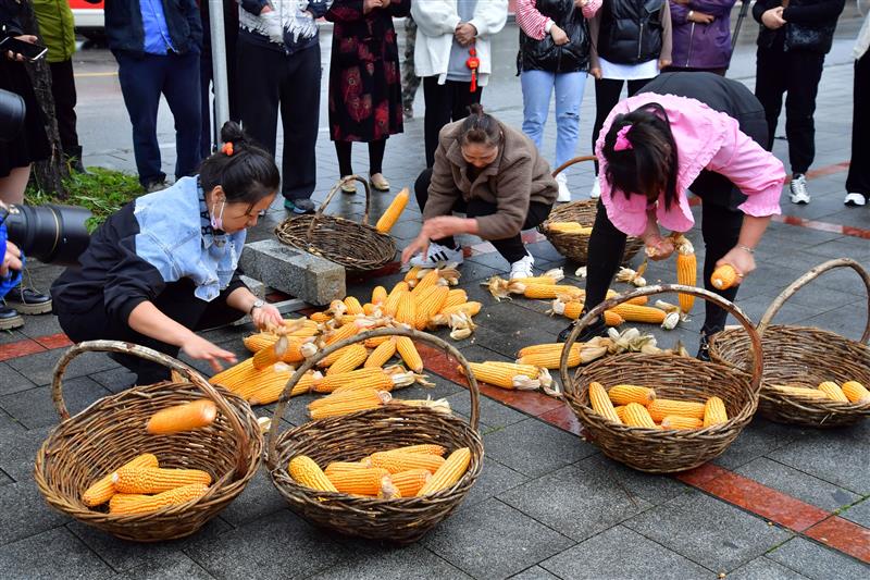 辽宁丹东：大梨树农民丰收节活动异彩纷呈