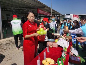 百名采购商陕西果区行活动在长武县启动