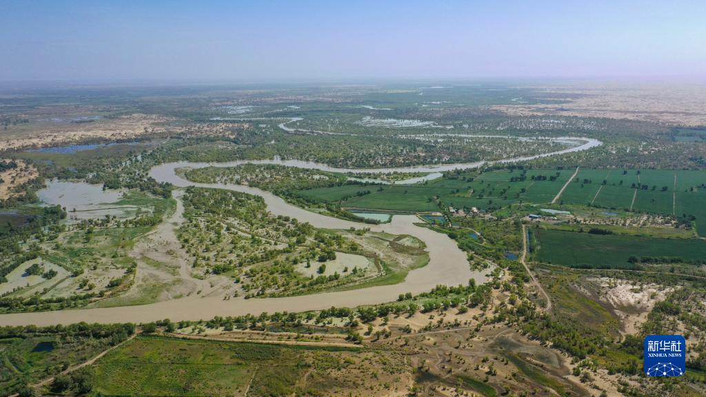 江河奔腾看中国丨塔里木河：沙漠中的绿