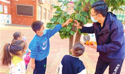 柿子熟了 学生回来了「相关图片」