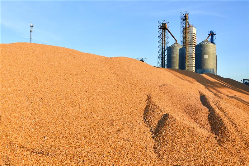 北大荒逊克农场推进社会化服务刷新高纬度玉米单产纪录