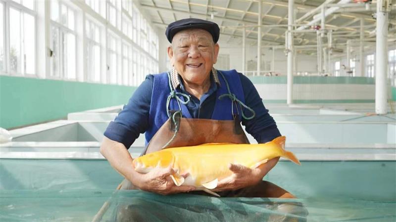 天津以智能绿色高效引领城乡共发展