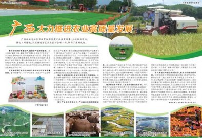 广西：大力推进农业高质量发展
