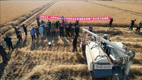 黑龙江举办玉米、水稻机收减损技术培训