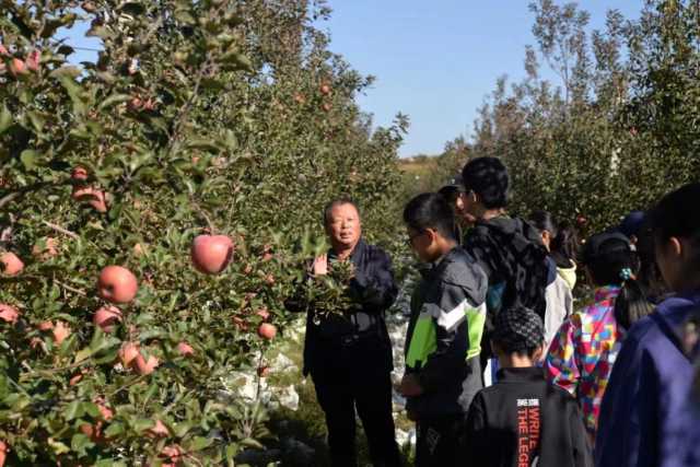 烟台牟平：劳动励心志，科技伴成长