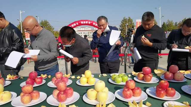 中国烟台第二届金苹果大赛成功举办