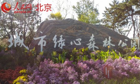 副中心成为北京平原地区首个国家森林城市