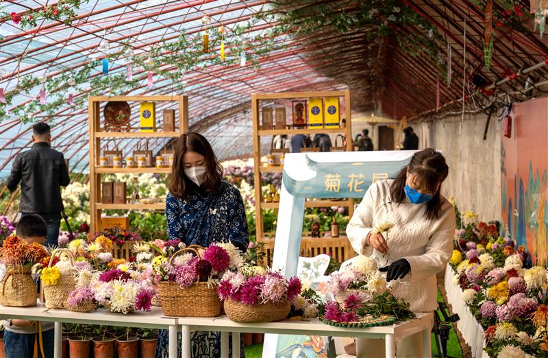 北京平谷区大兴庄镇举办第十四届菊花美食文化季