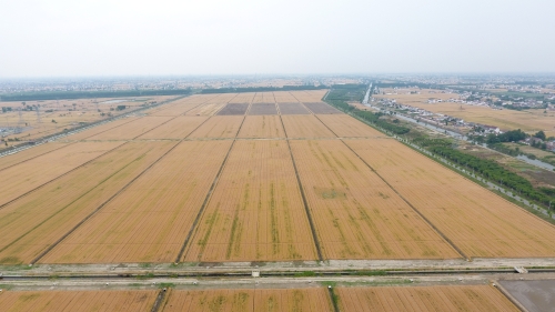 江苏南通市海安市开发区洋蛮河高标准农田建设项目