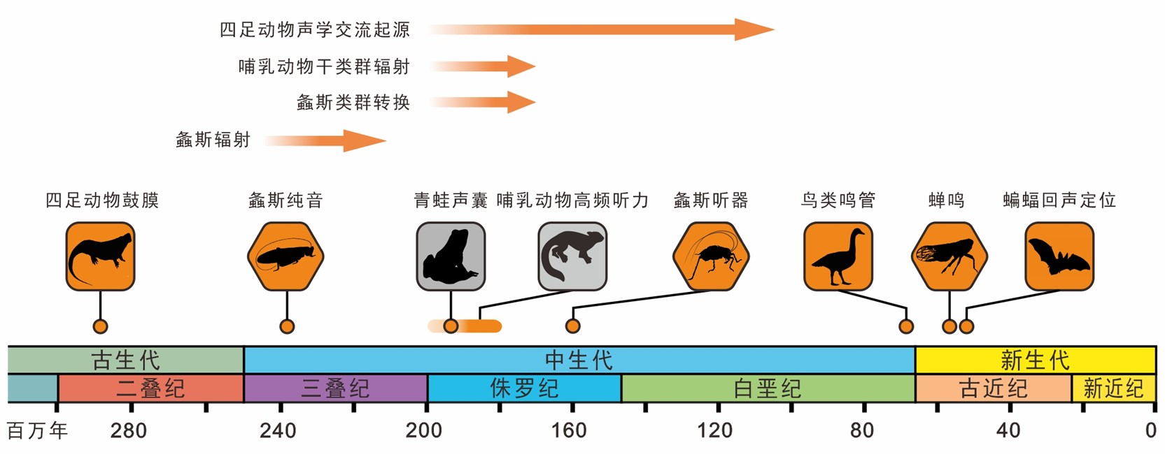 顺着化石，他们还原出2亿年前蝈蝈嗓门有多高