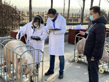 天津举办首届家畜（生猪）繁殖员大赛