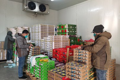 北京“菜篮子”新发地市场节前供应充足 购销两旺