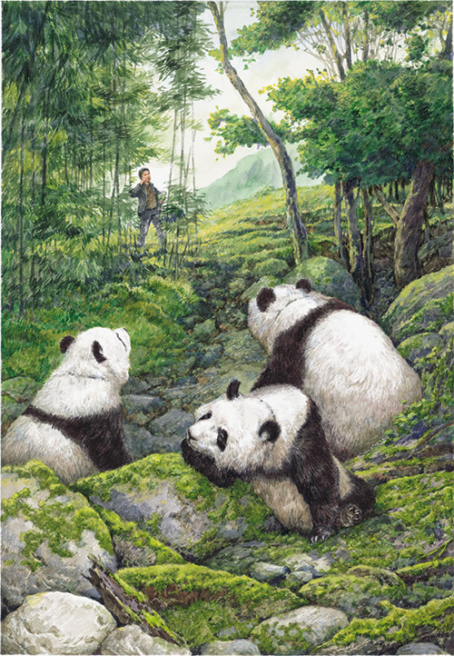 叶广芩儿童文学新作《熊猫小四》：献给高山生灵之作