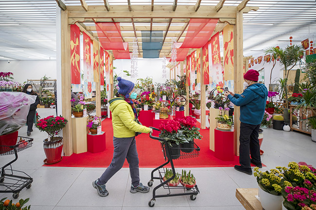 北京年宵花展新春氛围拉满！市民可通过小程序线上选购