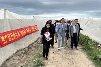 农业农村部部署南方五省区冬春季豇豆病虫害防控工作