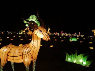 丰台南宫旅游景区3000余盏花灯即将点亮
