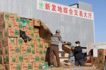 北京“菜篮子”新发地市场节后首个工作