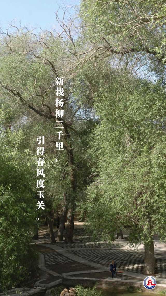 植树传统，从古诗中走来