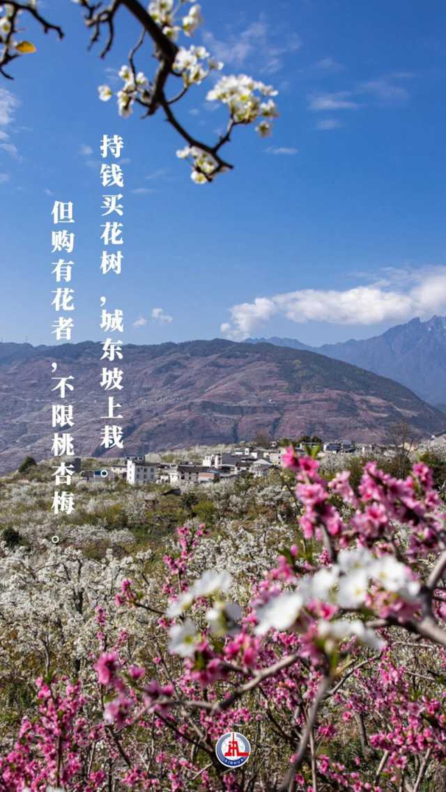 植树传统，从古诗中走来