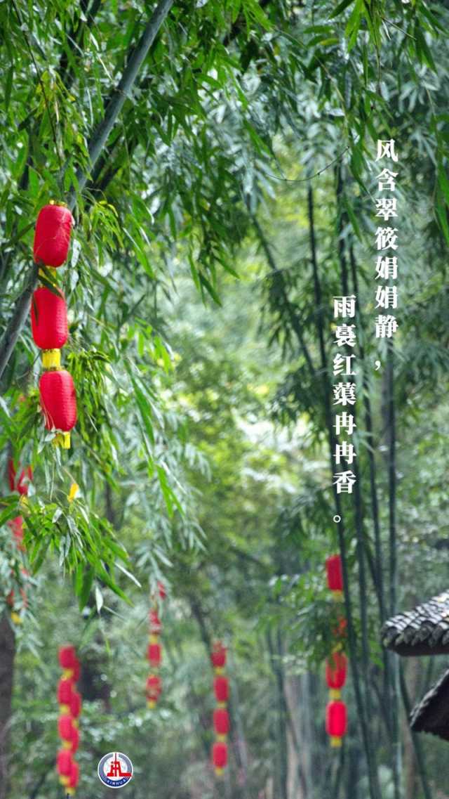 植树传统，从古诗中走来