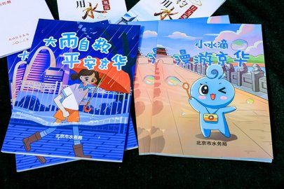 西城区举办“世界水日暨中国水周”节水系列宣传活动