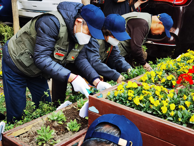 春日播种“连心菜园” 北京牛街用“小菜园”撬动“大治理”