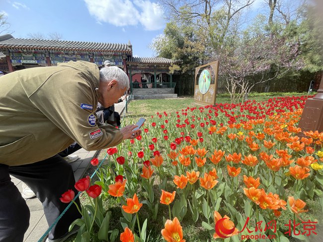 北京中山公园郁金香观赏季拉开帷幕 推出六大主题景区