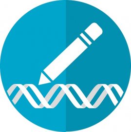 优化“基因魔剪”可极大减少突变