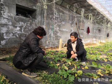 山东烟台：牟平区农技推广中心以实际行