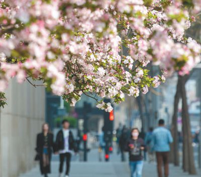 北京文旅市场春意浓