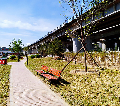 丰台推进铁路沿线“秀道”建设 高铁乘客“近可观绿 远可观景”