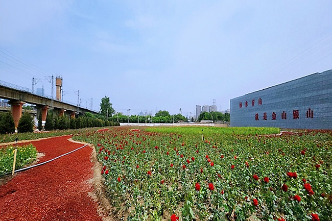 丰台推进铁路沿线“秀道”建设 高铁乘客“近可观绿 远可观景”