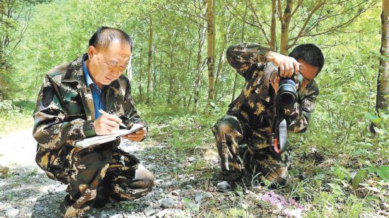 密云极小种群野生植物百倍扩繁