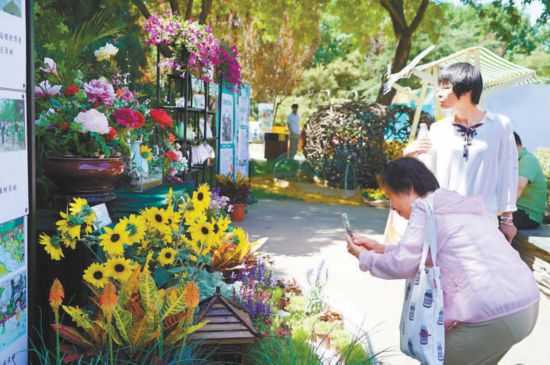 首都市民花园节开幕 10座市民亲手设计的小花园斗艳