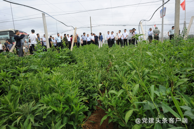 烟台市工商联召开“万企兴万村”推进乡村振兴行动现场观摩会议