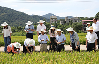 农业农村部召开统防统治与绿色防控融合现场会动员部署水稻重大病虫害防控工作