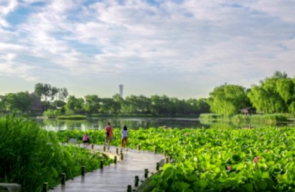 北京西城：推动“四个发展”取得成效 绿色发展指标位列全市第一