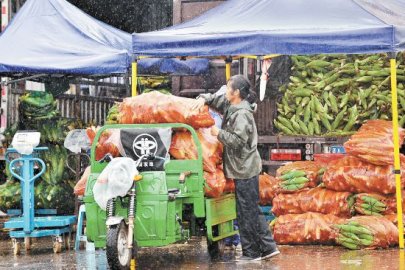 强降雨天气北京“菜篮子”有序运转 生活必需品供应充足