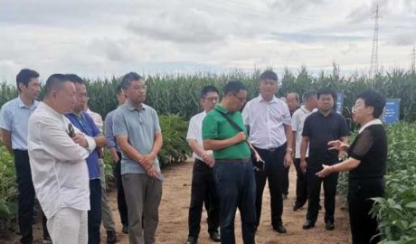 安徽省农业技术考察团赴蒙交
