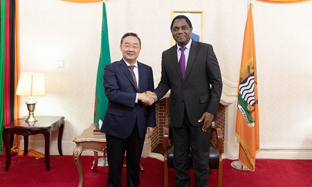 赞比亚总统希奇莱马会见唐仁健