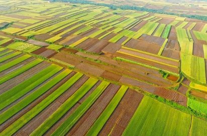 农业生产如何更好应对气候变化风险？
