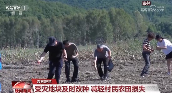 东北及京津冀地区加快灾后恢复重建 生产生活秩序有序恢复