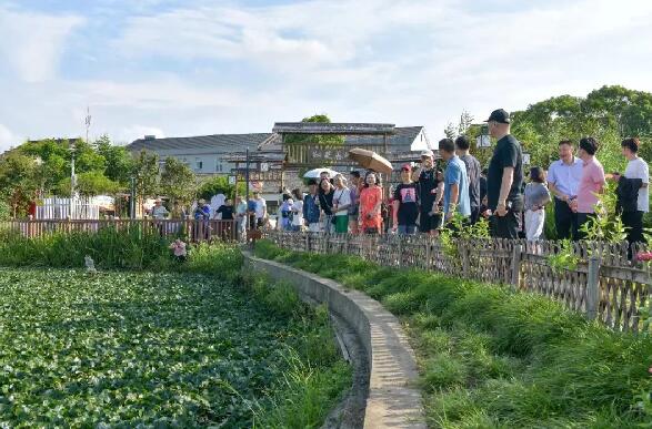 “同心跟党走，奋楫共富路”主题活动走进慈溪胜山